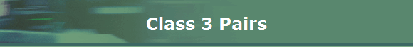 Class 3 Pairs